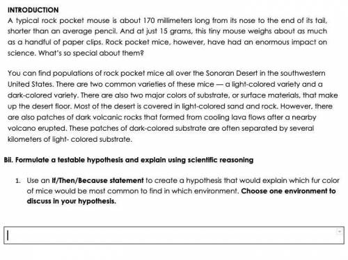 I have to write a hypothesis | Help ?