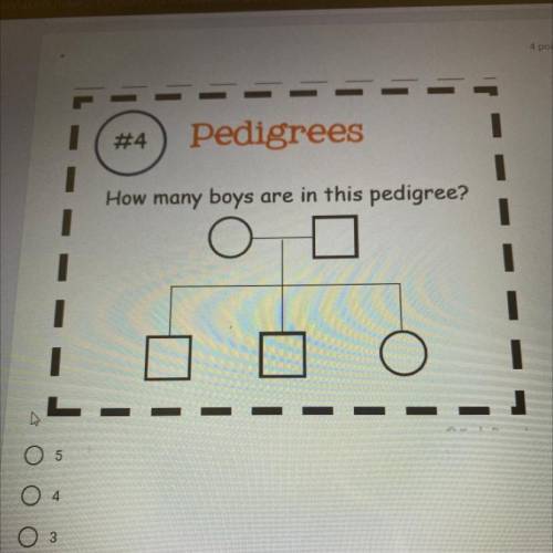 How many boys are in this pedigree?