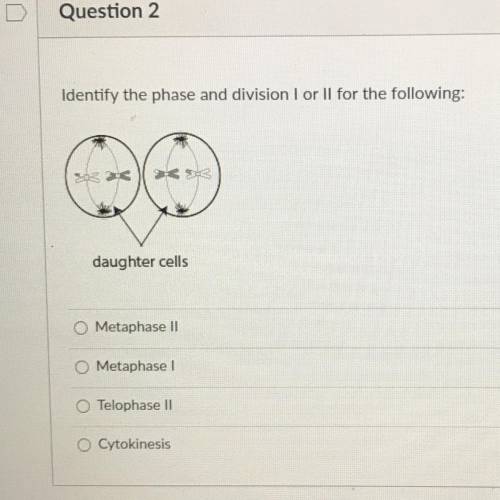 Identify the phase and division I or II for the following:

Metaphase II
Metaphase I
Telophase II
