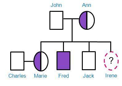 Use the pedigree on the right to determine which of the following are possible genotypes for Irene.
