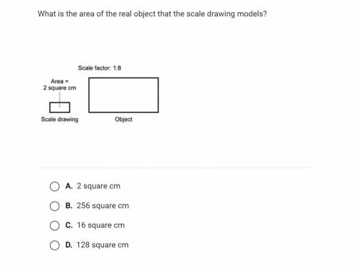 I'LL GIVE BRAINLIEST: What is the area of the real object that the scale drawing models?