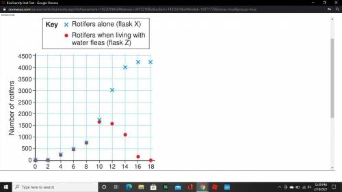 Analyze the graph and identify some factors that may contribute to the rotifer population leveling