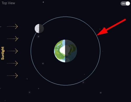 In this image of Earth and the Moon from the Sim, what does the circle around Earth represent?
