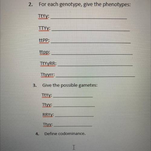 Please answer 2,3, and 4