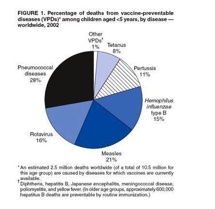 According to this pie graph, which vaccine seems to be the most important in preventing disease and
