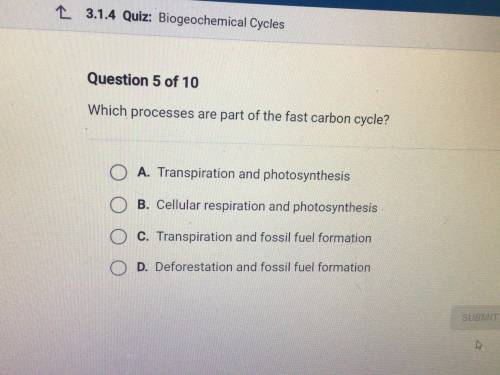 Which processes are part of the fast carbon cycle?