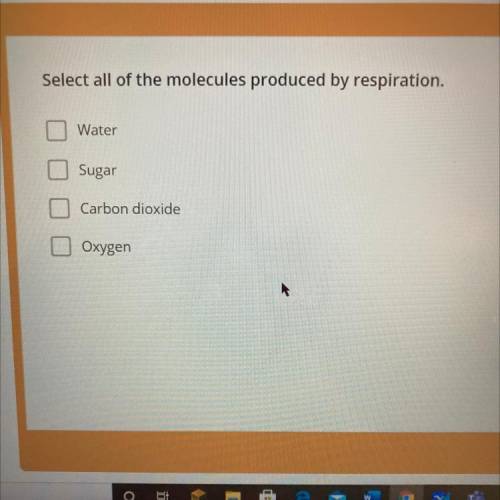 What molecules are produced by respiration