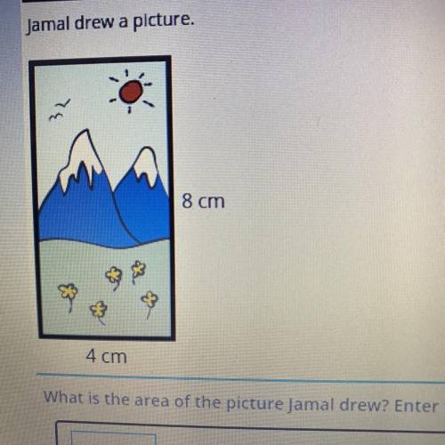 Jamal drew a picture.

8 cm
4 cm
What is the area of the picture Jamal drew? Enter the answer in t