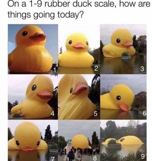 Rate your day on the ducky scale :)
