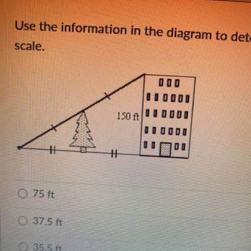 Use the information in the diagram to determine the height of the tree. the diagram is not to scale