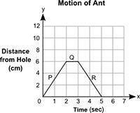 The distance, y, in centimeters, of an ant from a hole in the tree for a certain amount of time, x,
