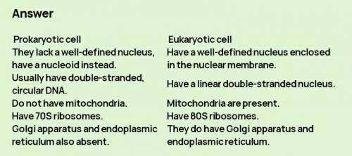 Difference between eukaryotic cells and prokaryotic cells.​