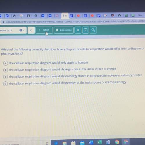 I need help woth this question
