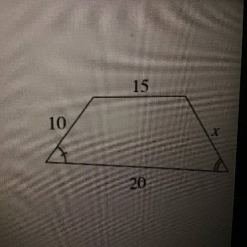 Solve for x
(20 points)
