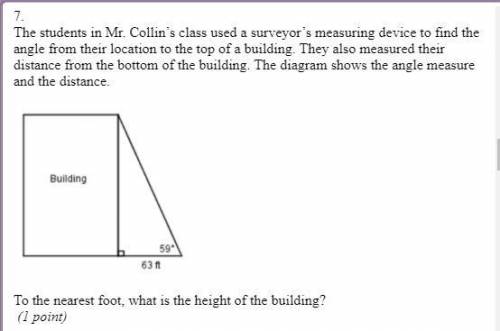 The students in Mr.Collin's class used a surveyor's measuring device to find the angle from their l