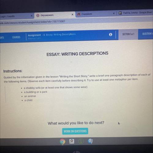 ESSAY: WRITING DESCRIPTIONS

Instructions:
Guided by the information given in the lesson Writing