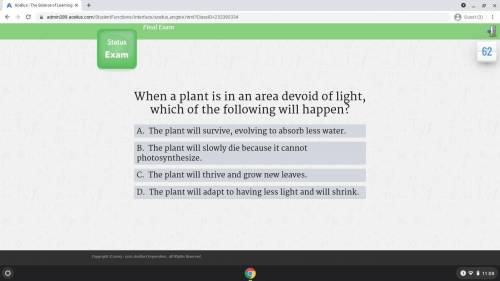 When a plant is in area of light, which of the following will happen?