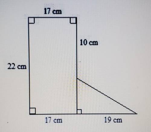 What is the perimeter of the composite figure? 85 cm107.5 cm119.5 cm97 cm​