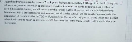 Using this model predic when it will take to reach approximately 300 female turtle?

how many fema