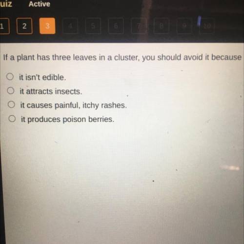 if a plant has three leaves in a cluster, you should avoid it because? it isn’t edible. it attracts