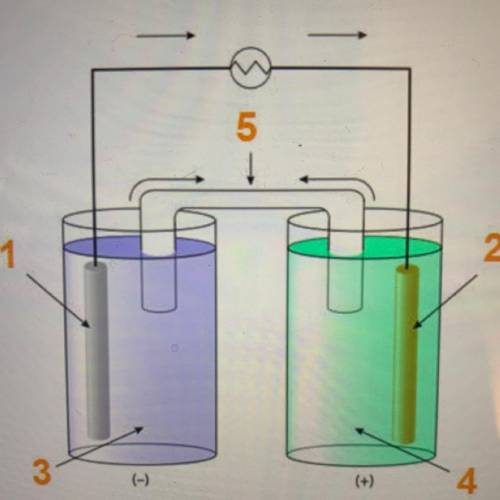 Look at the diagram of an electrochemical cell below.

Which part of the cell is the cathode?
1
2