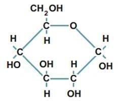 What biological macromolecule is made up of monomers like the one shown below?

Fat Carbohydrate P