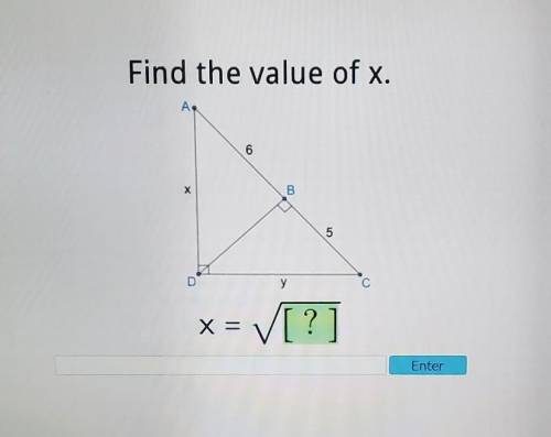 Find the value of x. HELP PLSSSSSSS​