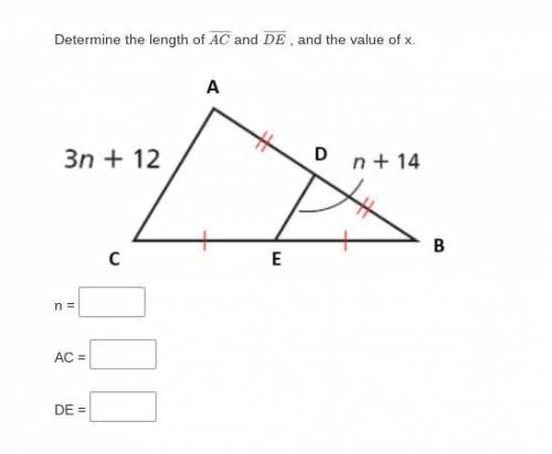 Determine the length of AC and DE, and the value of x.