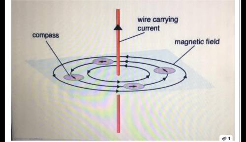 What are the particles demonstrating in this image?

magnetic field
electromagnetic field
electrom