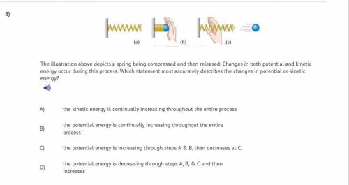 Which statement accurately describes the changes in potential and genetic energy?