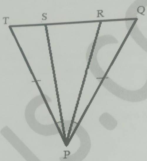 in the given figure, PQ=PT and angle TPS=QPR,Prove that ∆PRS is isoceles. The figure is given in th