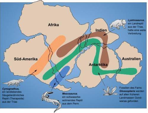 Using the map below, explain how fossils support Wegener's theory of Continental Drift