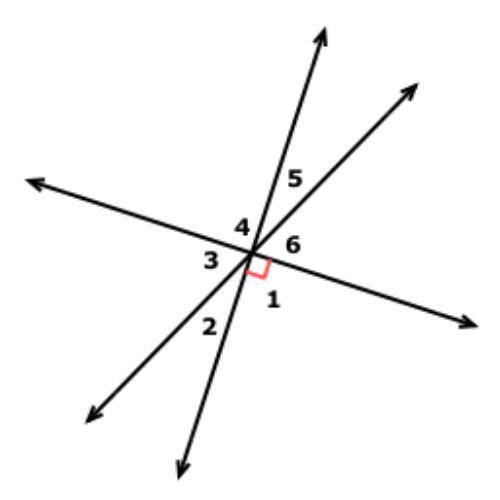 Which angles are vertical? Select ALL that apply.

a Angle 5 and Angle 6
b Angle 1 and Angle 4
c A