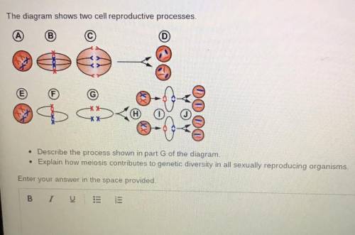 The diagram shows two cell reproductive processes. describe the process shown in part g of the diag