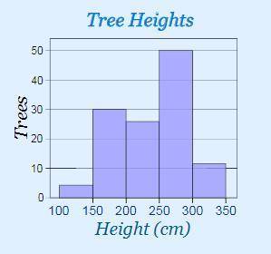 Below is a histogram of the height of Orange trees from an Orange Grove in Florida. What is the per