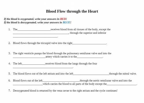 Blood Flow Worksheet, mind helping me out?