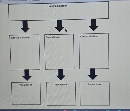 complete the chart to show how natural selection imoacts these factors which in turn impact populat