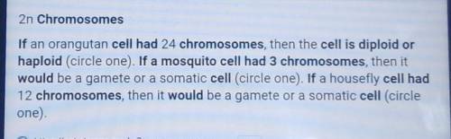 If a mosquito cell had 3
chromosomes, would that cell be diploid or haploid?
￼