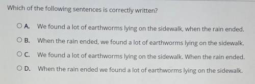 Which of the following sentences is correctly written? A. We found a lot of earthworms lying on the