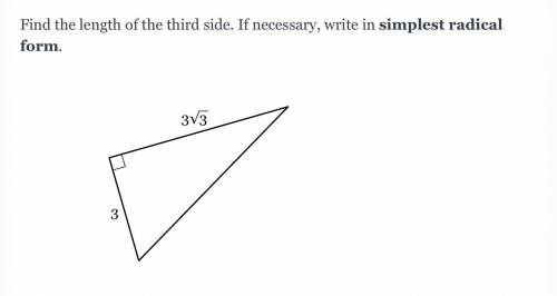 Please help! (Pythagorean theorem stuff)