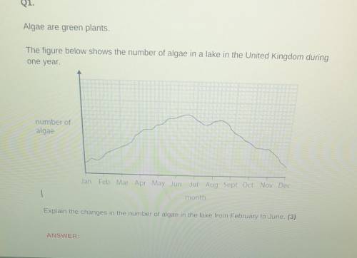 Algae are green plants.

The figure below shows the number of algae in a lake in the United Kingdo