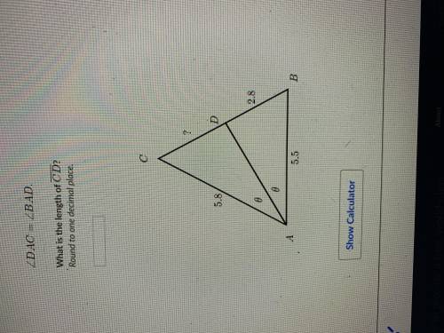 Can anyone help me with this I really need help this is worth 40% percent of my grade