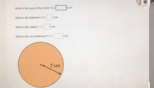 Use the circle below to solve for each questions.