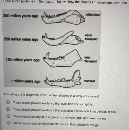 Cod pawbones

the diagram below show the changes in organisms over time.
300 million years ago Ahm