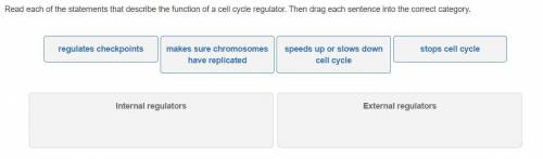 WILL GIVE BRAINLIEST IF CORRECT

Read each of the statements that describe the function of a cell