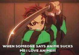 When someone says anime sucks