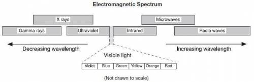 According to the diagram, which color of visible light has the shortest wavelength?