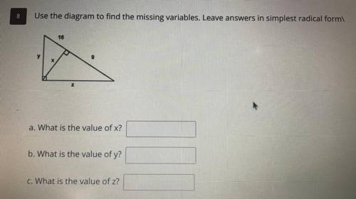 What is the value of X?
What is the value of Y?
What is the value of Z?