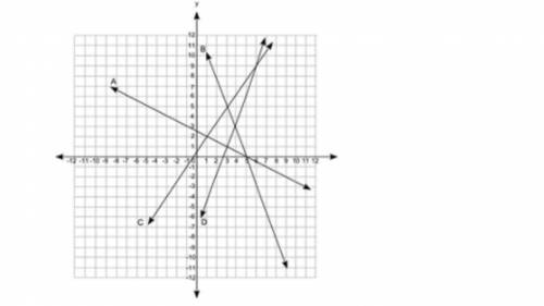 The coordinate grid shows the plot of four equations:

A coordinate grid is shown from negative 12