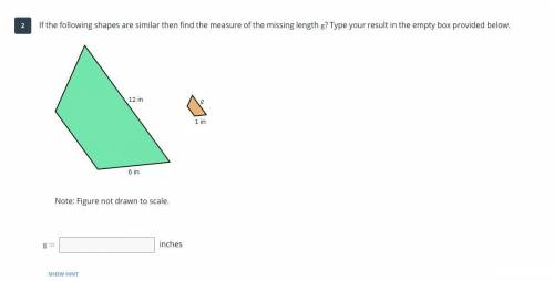 If the following shapes are similar then find the measure of the missing length g? Type your result